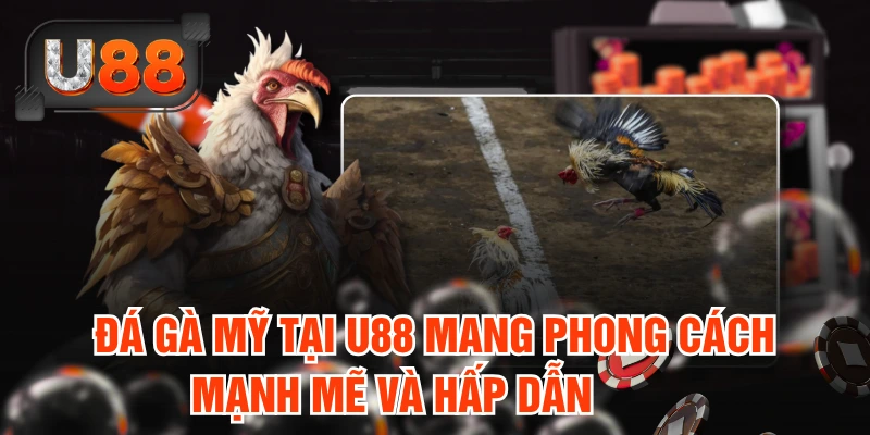 Hướng Dẫn Tham Gia Đá Gà Mỹ Tại U88 Chuẩn Từng Hiệp