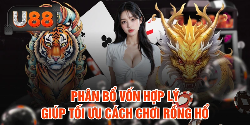 Phân bổ vốn hợp lý giúp tối ưu cách chơi rồng hổ