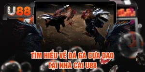 Mẹo Đá Gà Cựa Dao – Bí Kíp Chiến Thắng Và Kiếm Lợi Nhuận